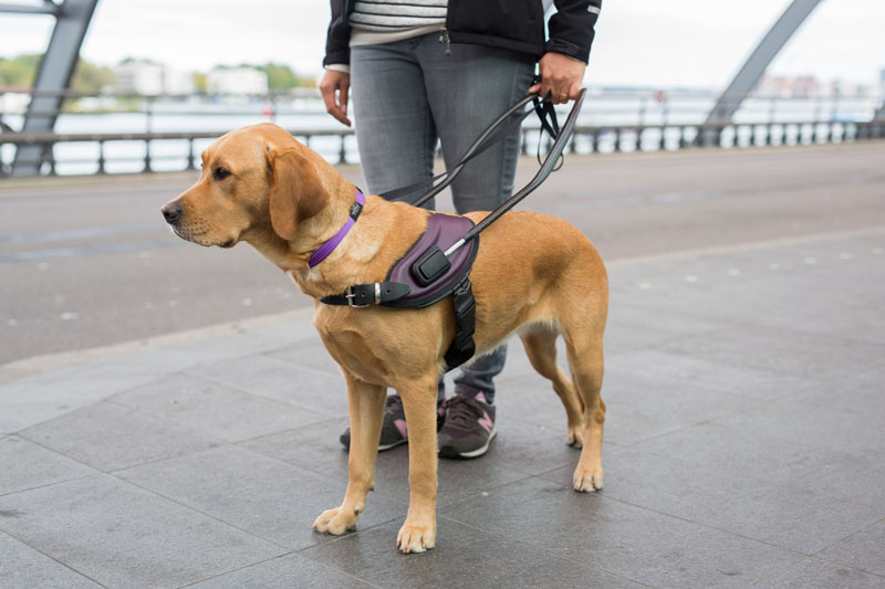 2045-KNGF-11 KNFG by npk design