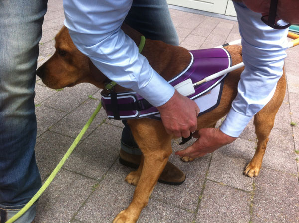 2045-KNGF-3 KNFG by npk design