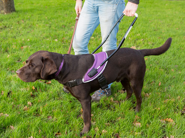 2045-KNGF-4 KNFG by npk design