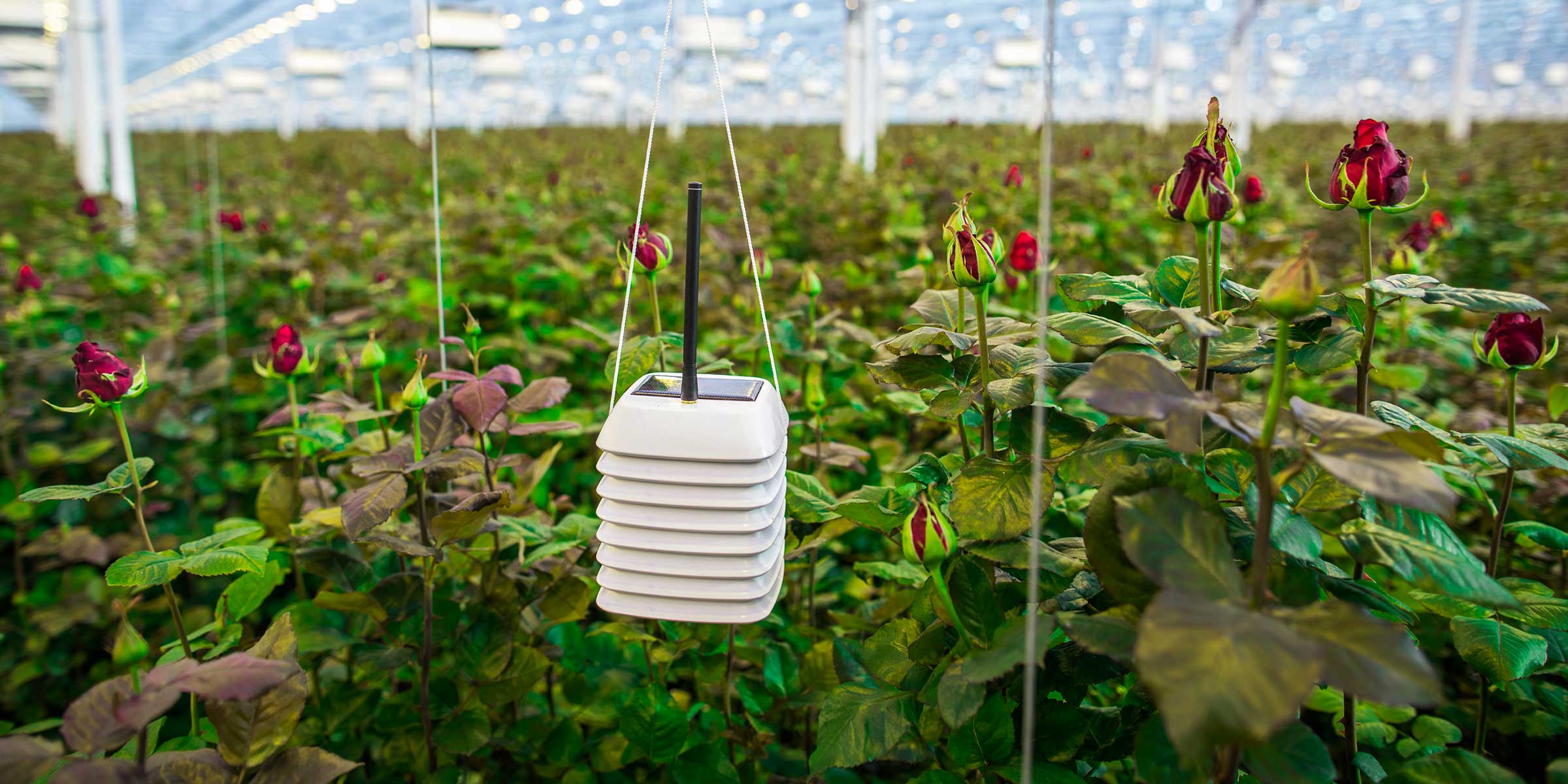 Technolution Sense2Grow by npk design