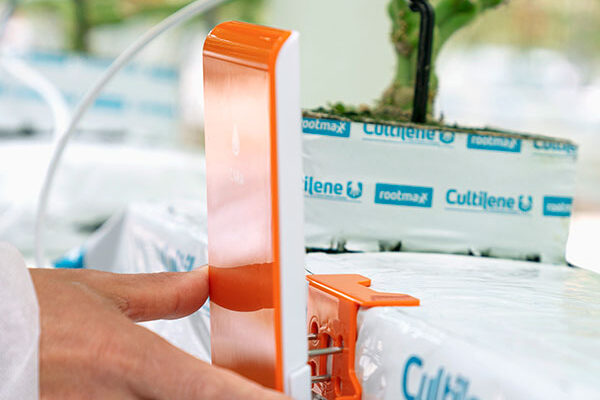 Cultilene by npk design