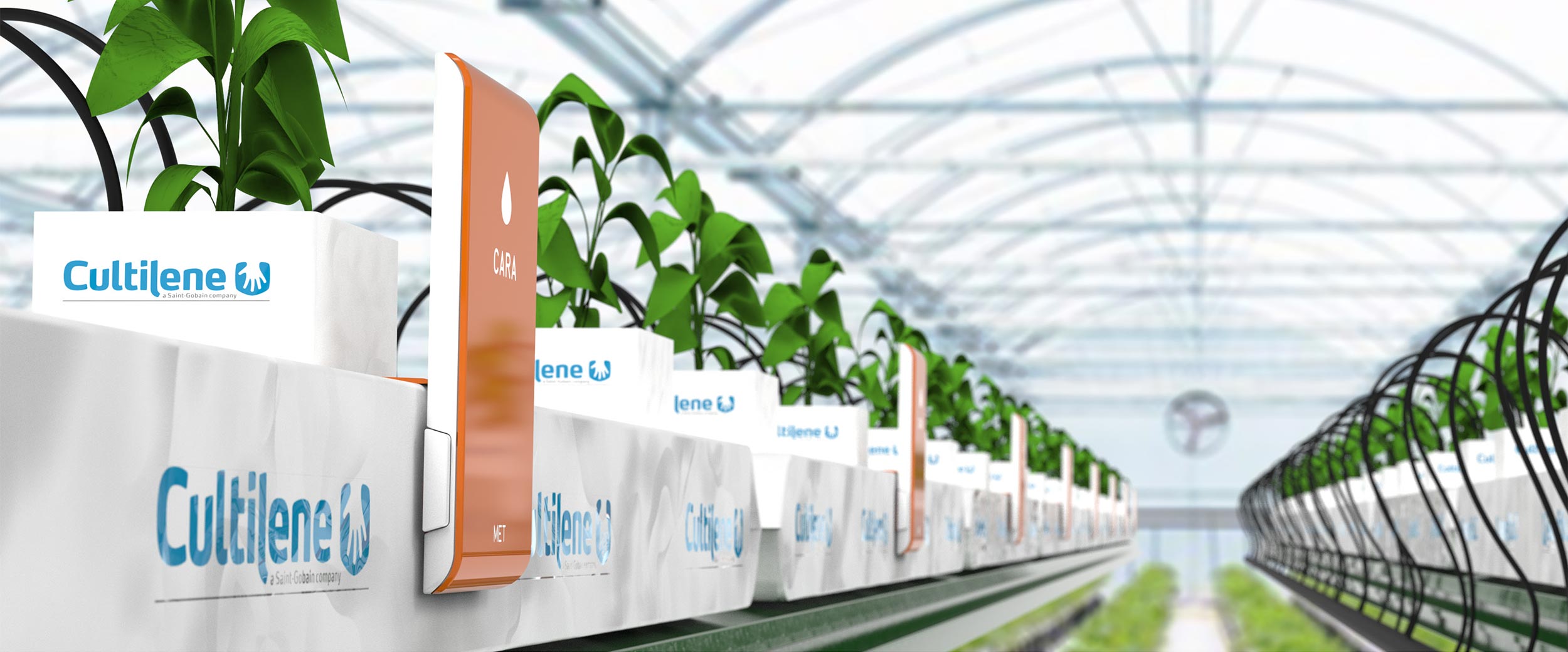 Cultilene by npk design