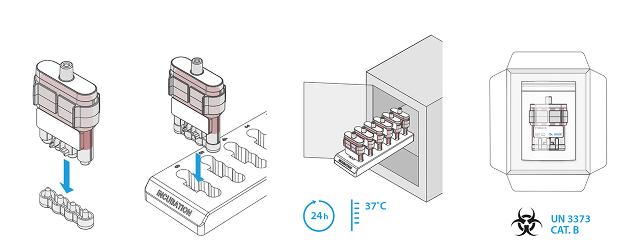 6040-Wolf-tekening-2